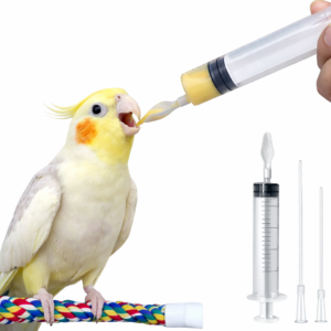 āĻĒāĻžāĻāĻŋāϰ āĻāĻžāĻŦāĻžāϰā§āϰ āϏāĻŋāϰāĻŋāĻā§āĻ